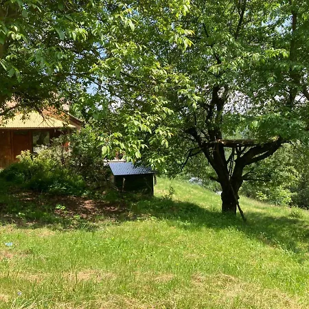 Wikingowka