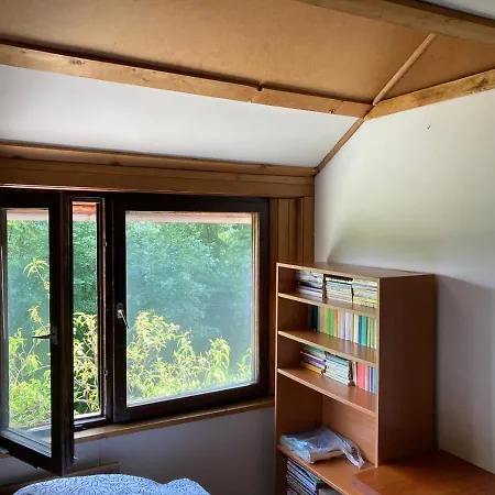 Ferienhaus Wikingowka *