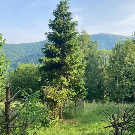 Ferienhaus Wikingowka