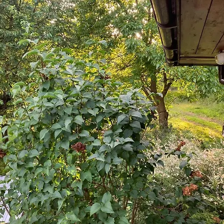 Wikingowka Międzybrodzie Bialskie