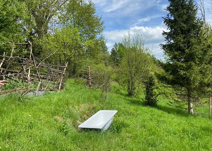 Ferienhaus Wikingowka *