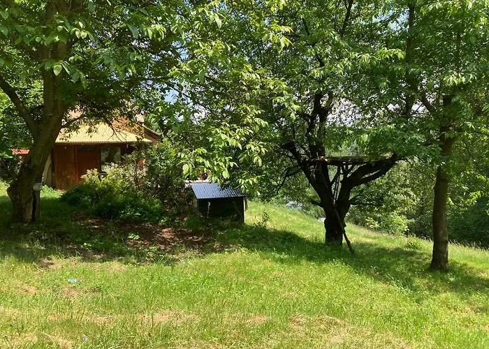 Wikingowka