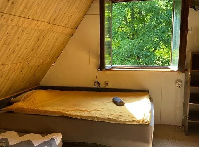 Wikingowka Międzybrodzie Bialskie