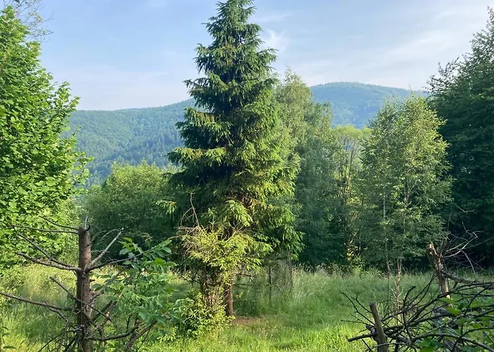 Ferienhaus Wikingowka