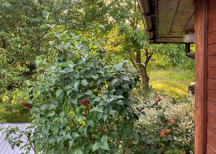 Wikingowka Międzybrodzie Bialskie