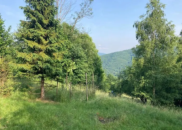 Wikingowka * Międzybrodzie Bialskie