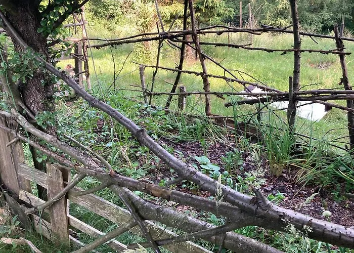 Wikingowka * Międzybrodzie Bialskie